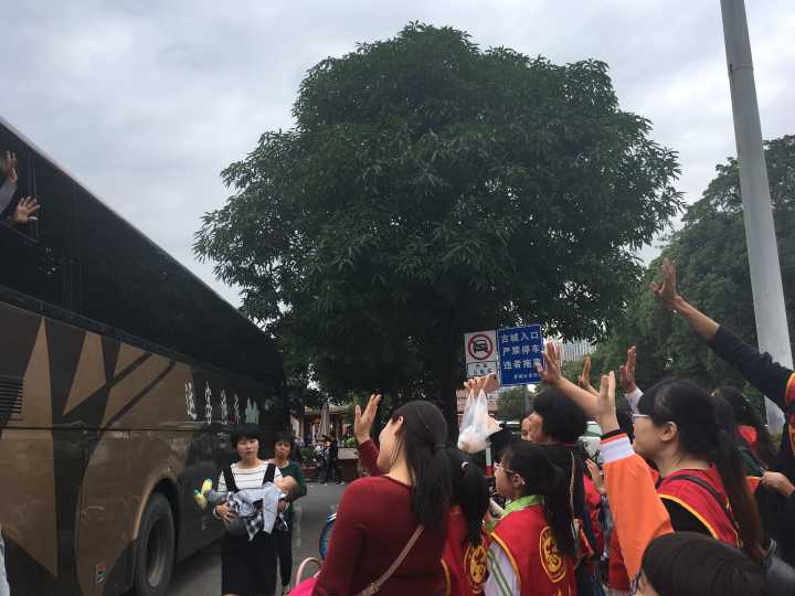 畅游古城 志愿与你同行